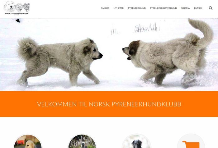 Norsk pyreneerhundeklubb